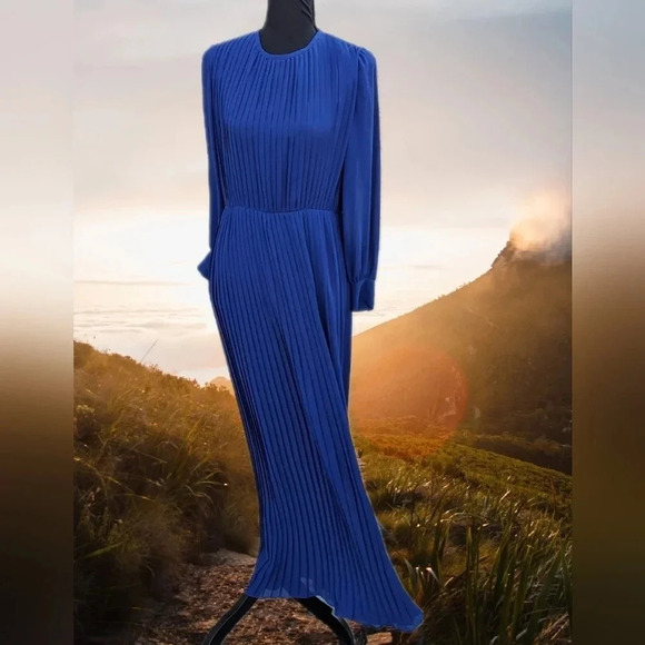 Vintage Pleated Chiffon Dress- Japanese- Robe de Command- Floor length Georgette - Picture 4 of 16